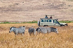 Game Park Tanzania